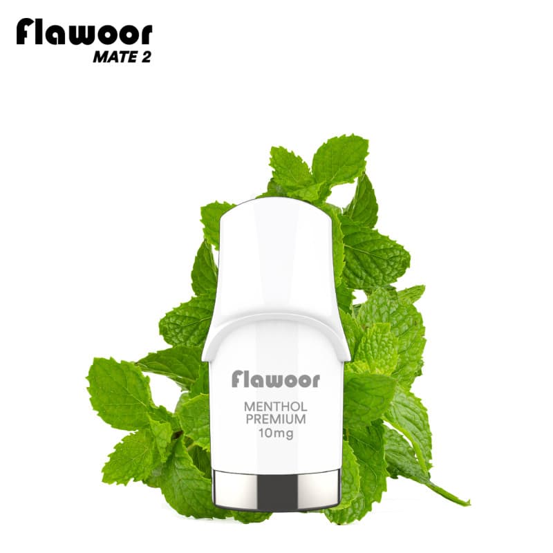 Flawoor CARTOUCHE MENTHOL PREMIUM / 2PCS - FLAWOOR MATE 2